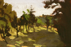 Oliveta Town