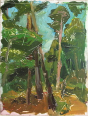 Hubbard Park Trees